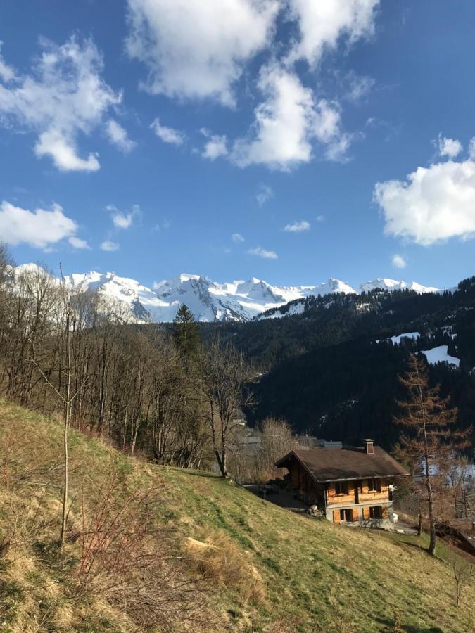 La Marmotte Qui Papote Διαμέρισμα Le Grand-Bornand Εξωτερικό φωτογραφία