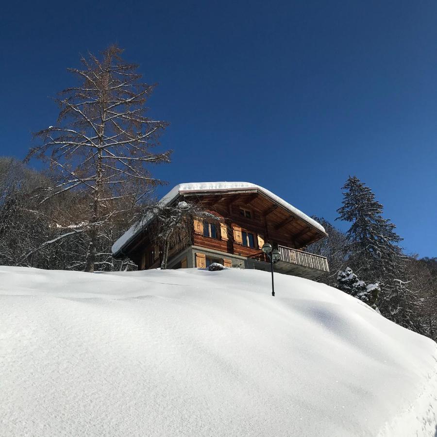 La Marmotte Qui Papote Διαμέρισμα Le Grand-Bornand Εξωτερικό φωτογραφία